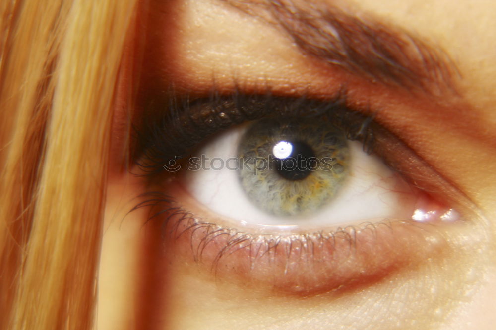 Similar – eye Pupil Make-up