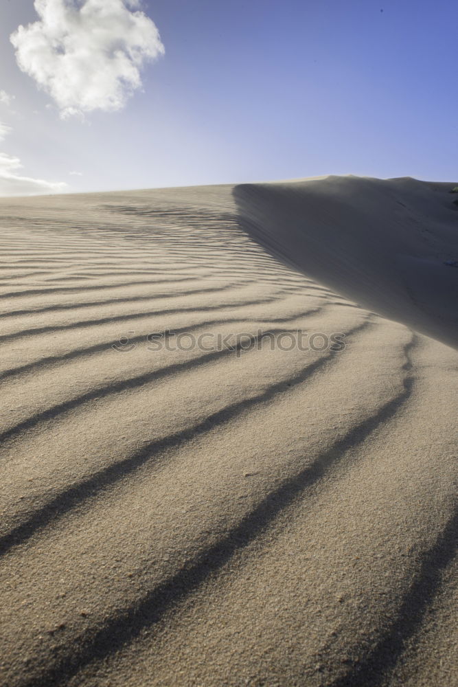 spuren im sand