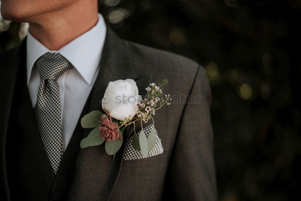 Similar – Image, Stock Photo groom Flower Rose Fashion