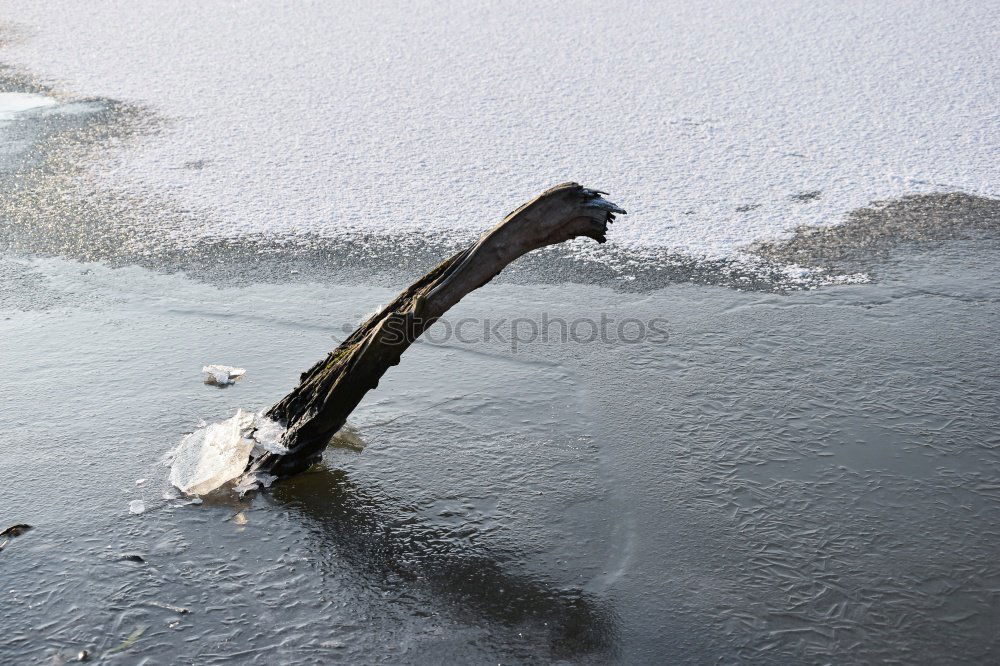 Similar – Image, Stock Photo EVERY DAMN MORNING Winter