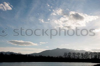 Similar – black tree Tree Lake