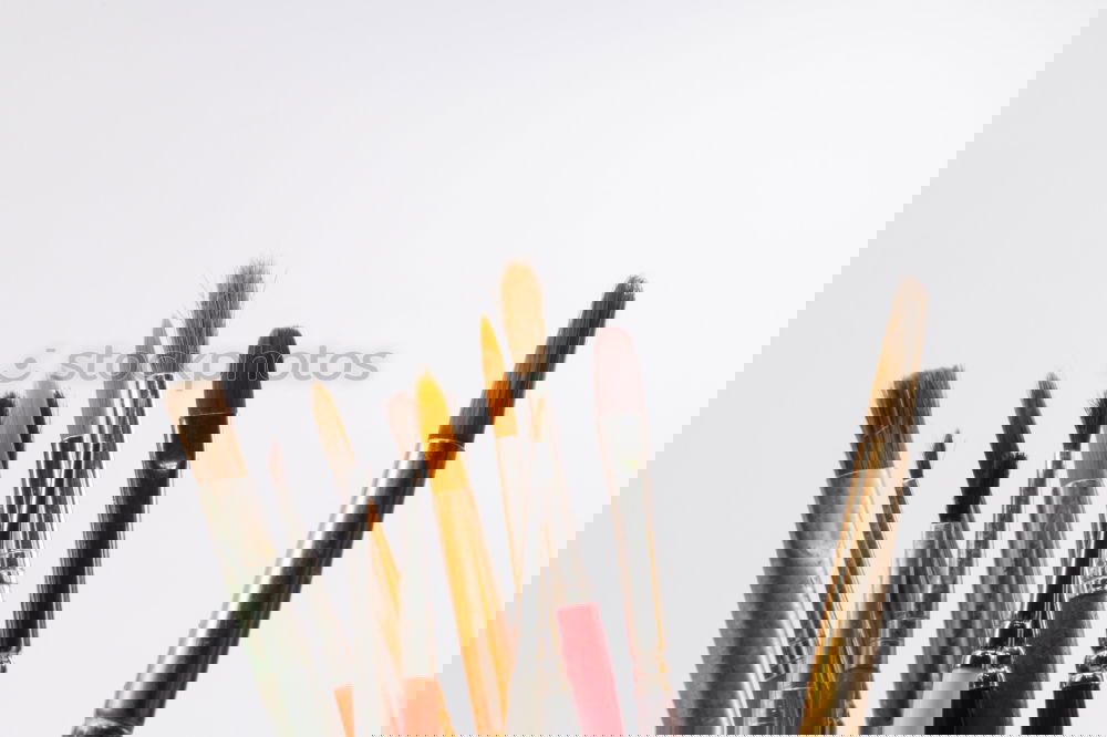 Similar – Image, Stock Photo Have a brush. day.