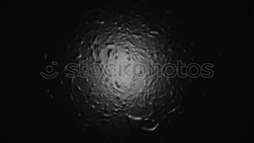 Similar – Image, Stock Photo Ghostly swan feather with drops of water, black background