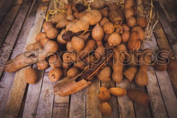 Similar – Planting potatoes