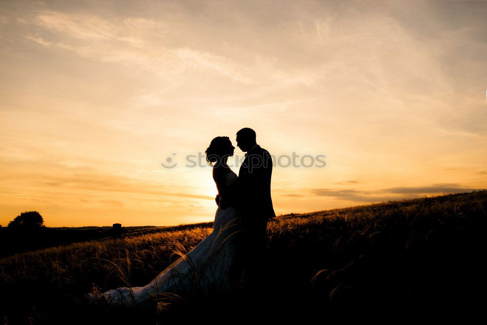 Walker in the evening in front of a tree pair