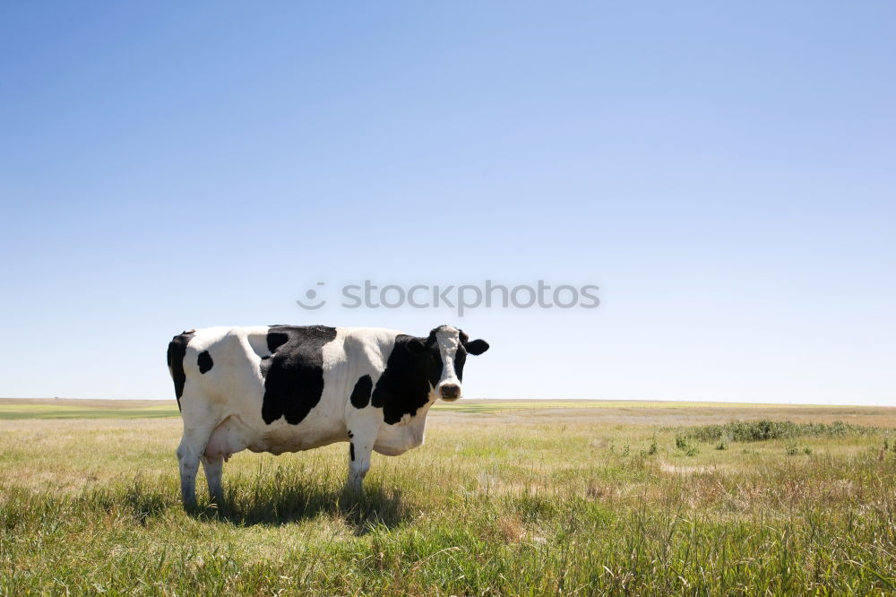 Similar – und du? Berge u. Gebirge