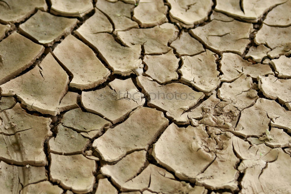 Similar – Image, Stock Photo earth_1 Nature Earth Sand