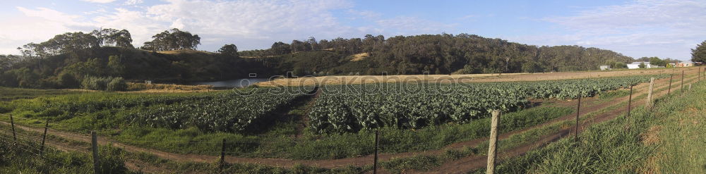 Similar – Image, Stock Photo home Meadow