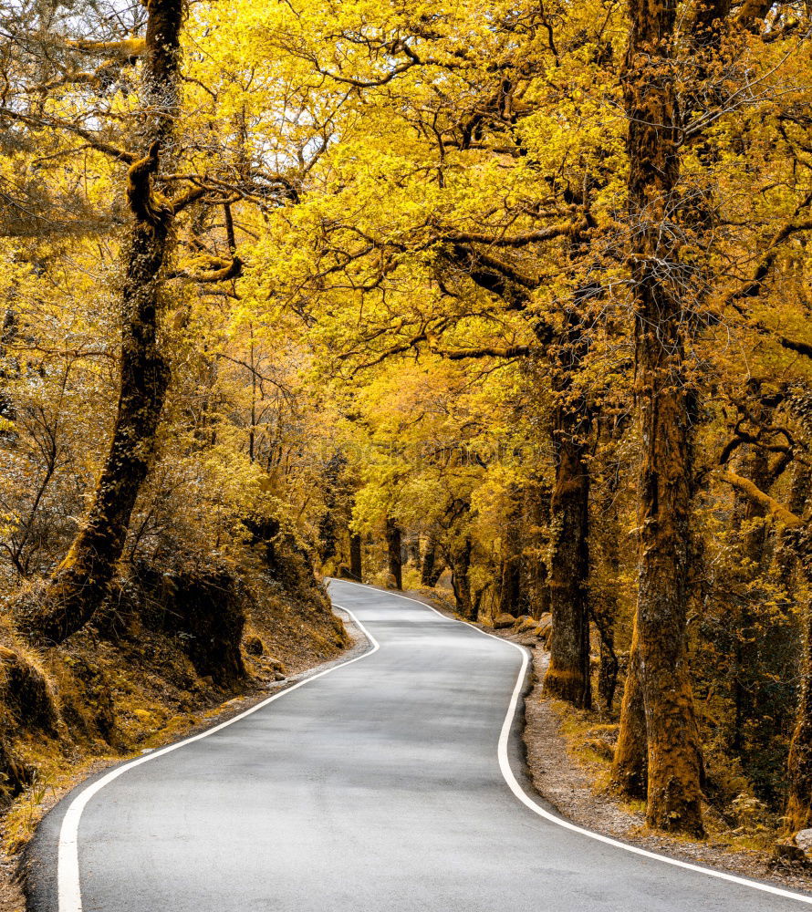 Similar – Image, Stock Photo Autumn in the Pyrenees