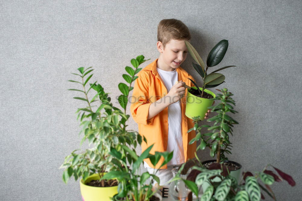 Similar – kid girl is hiding behind house plant in pot