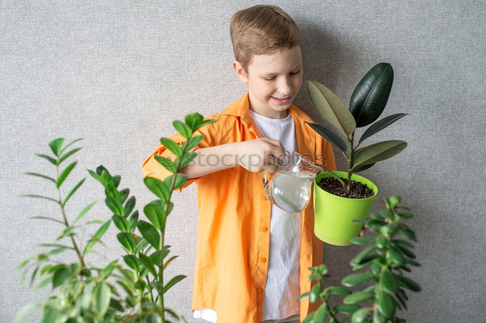 Similar – kid girl is hiding behind house plant in pot