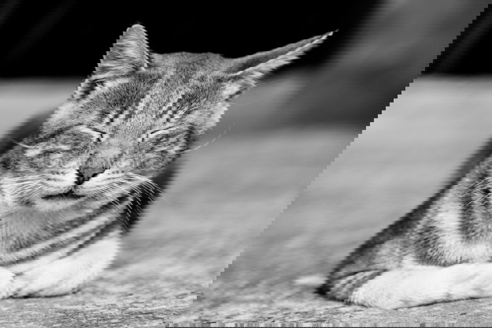 Similar – Foto Bild Gemeinsam die Welt entdecken