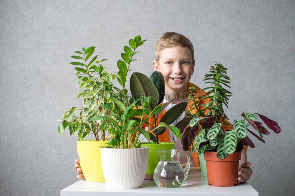 Similar – Image, Stock Photo Woman’s hands transplanting plant.