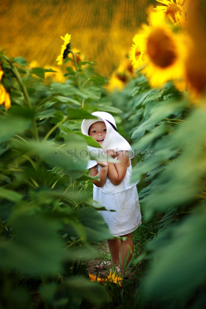 Similar – Image, Stock Photo Trip to the countryside