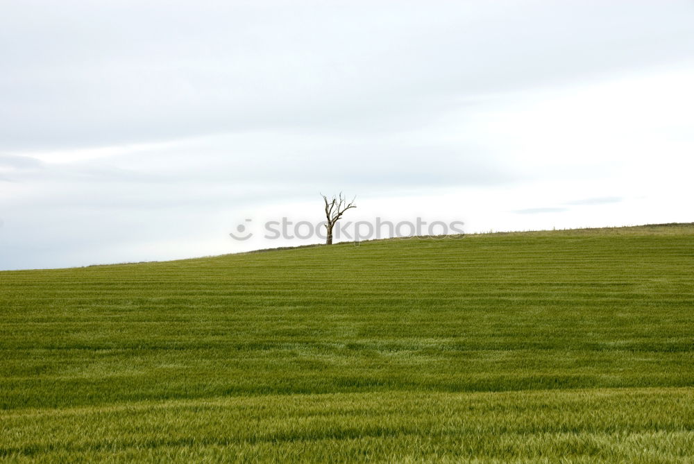 Similar – Image, Stock Photo The Green Mile V3 Air