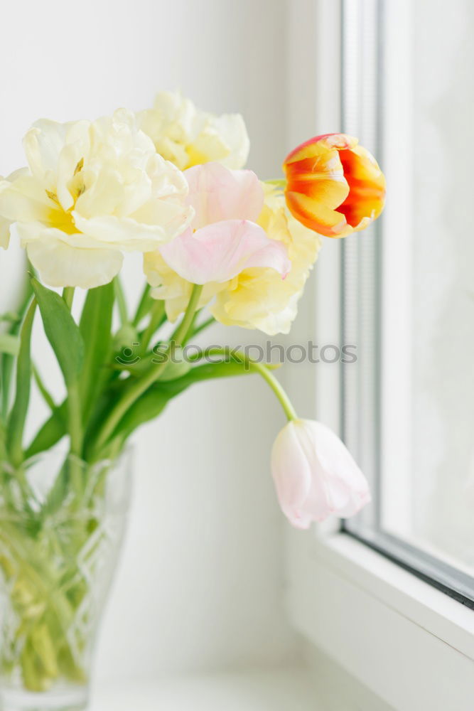 Similar – Spring Bouquet Easter Greeting Tulips