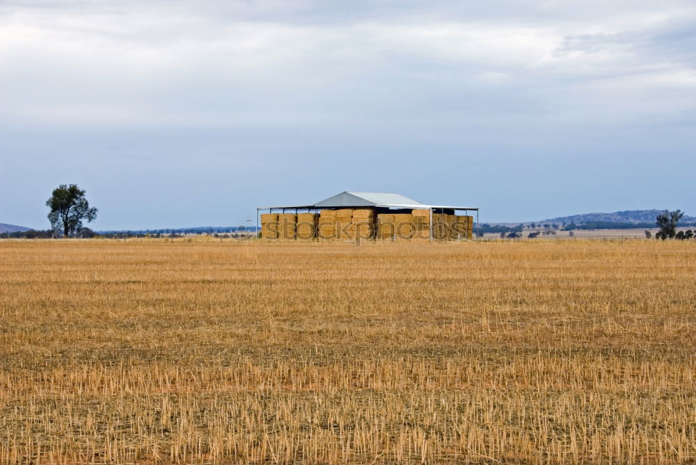 Similar – small Tuscan chapel