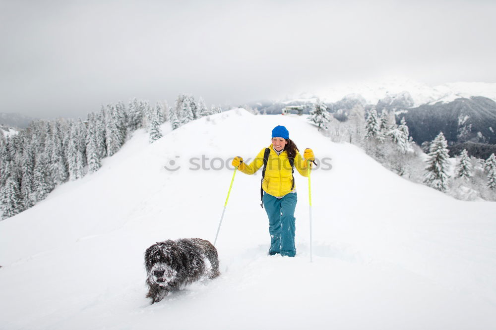 Image, Stock Photo Romping in the snow