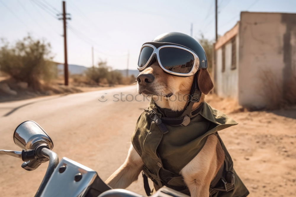 Similar – Image, Stock Photo Fireman