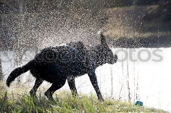 Similar – water features Playing