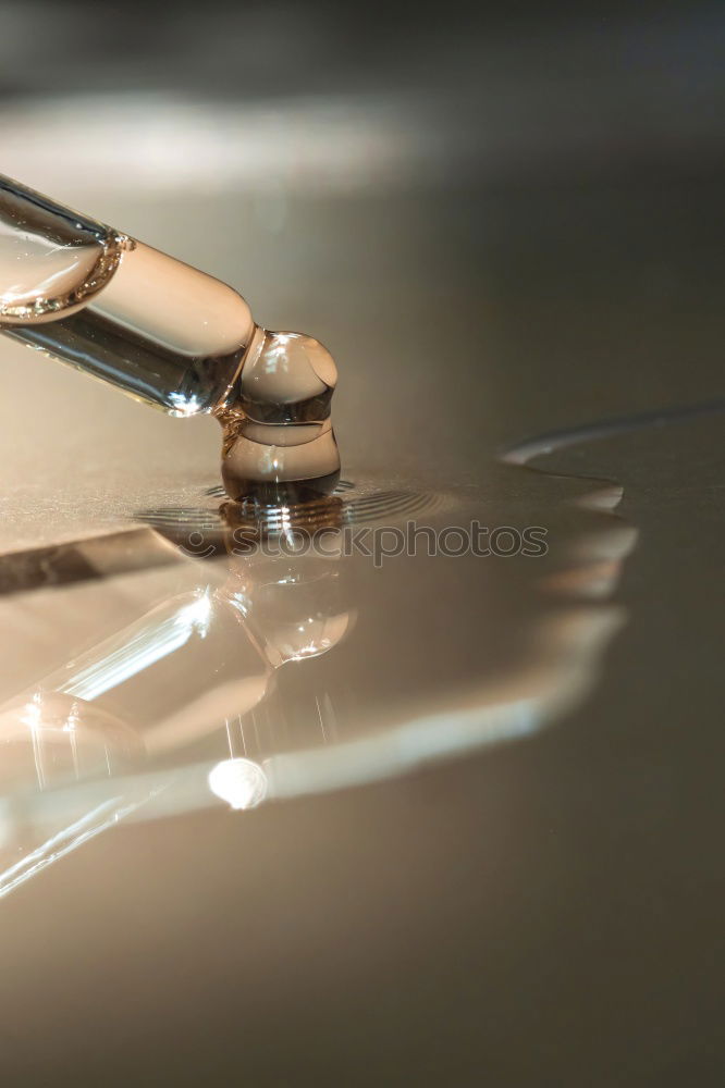 Similar – Image, Stock Photo Fat blunces Kitchen