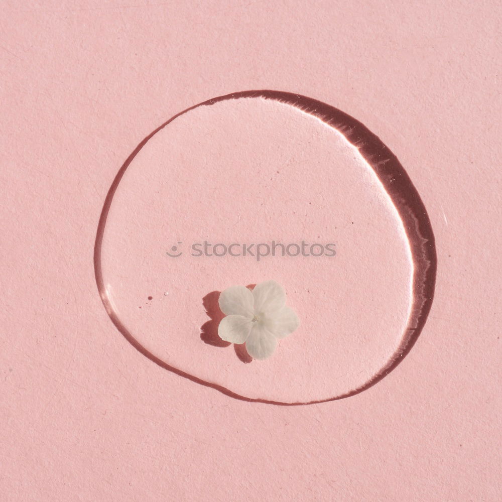 Similar – Image, Stock Photo Small rest donut with sugar-chocolate crumbles