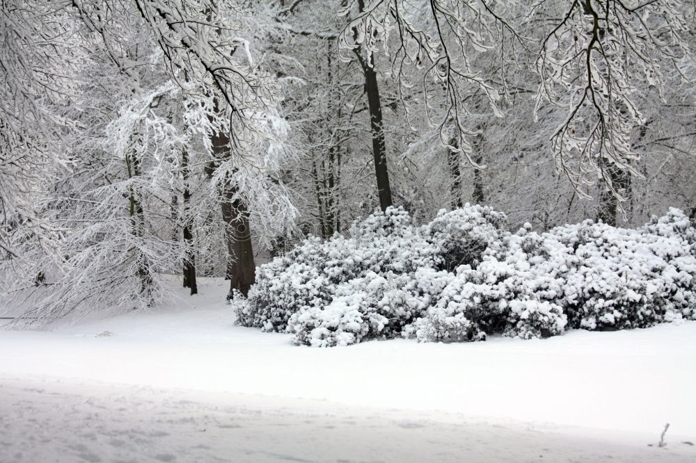 Similar – Image, Stock Photo Powdered Environment