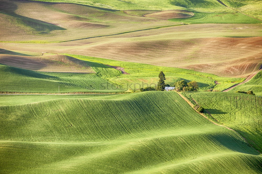 Similar – Tuscan house on the misty hills