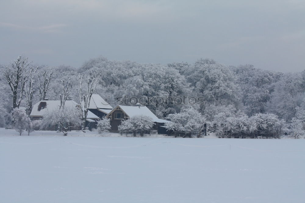 Similar – snow falling on meadows