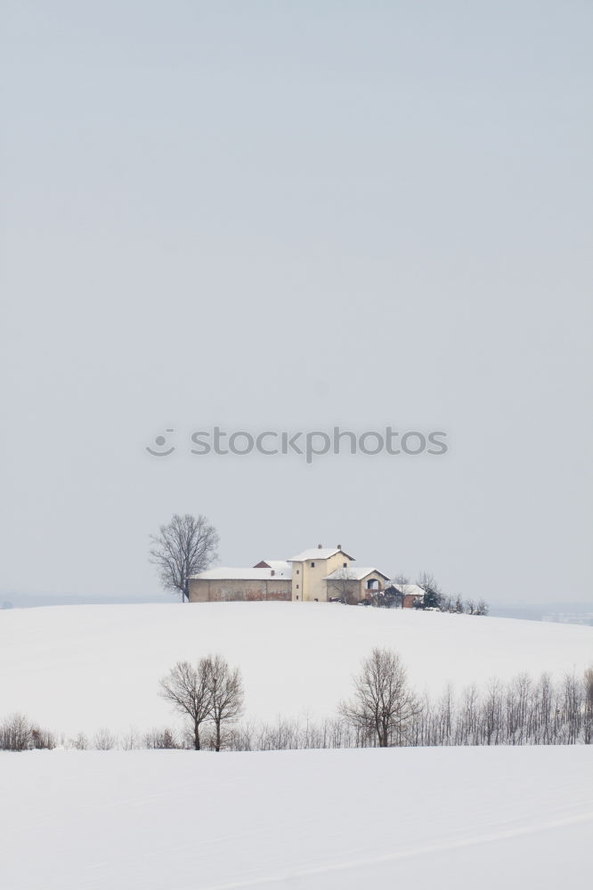 Similar – freigestellter baum Winter