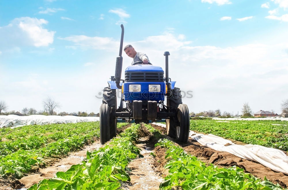 Similar – Loading harvest sacks on the tractor