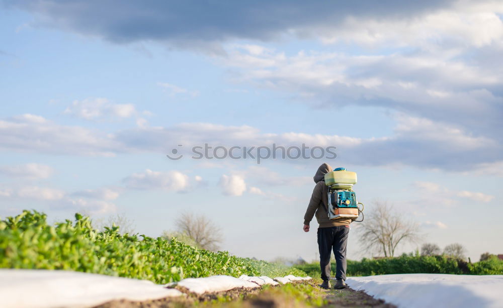 Similar – Image, Stock Photo Rear view, Young woman with hiking rucksack in green forest