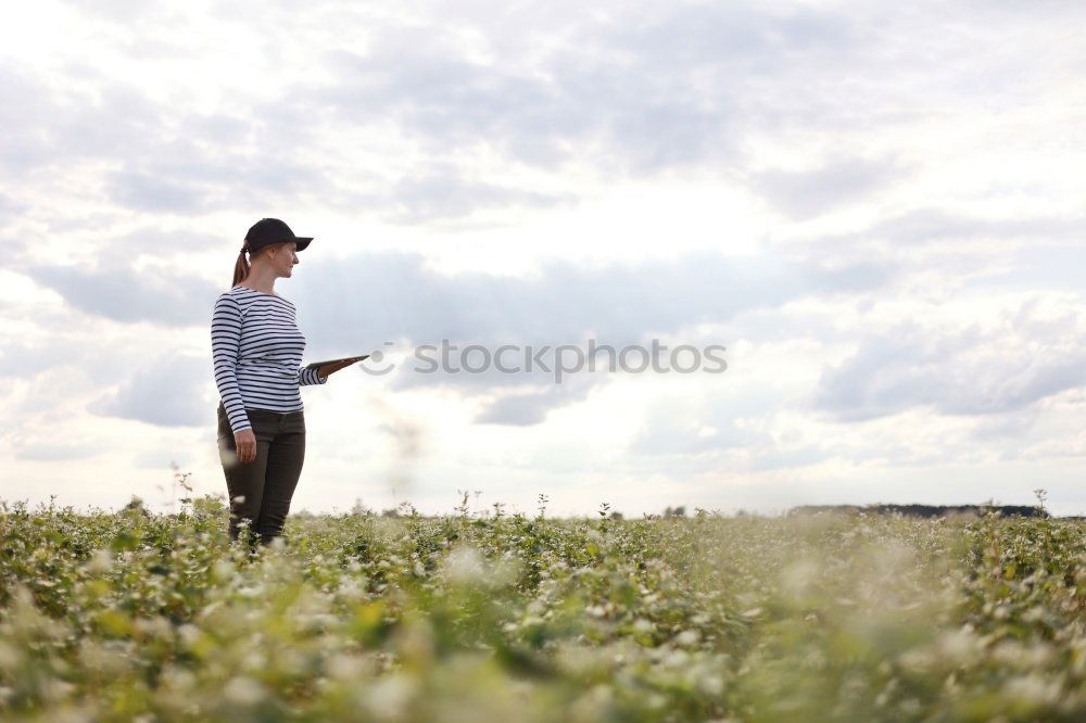 Similar – Foto Bild trauriger abend Blume Rose