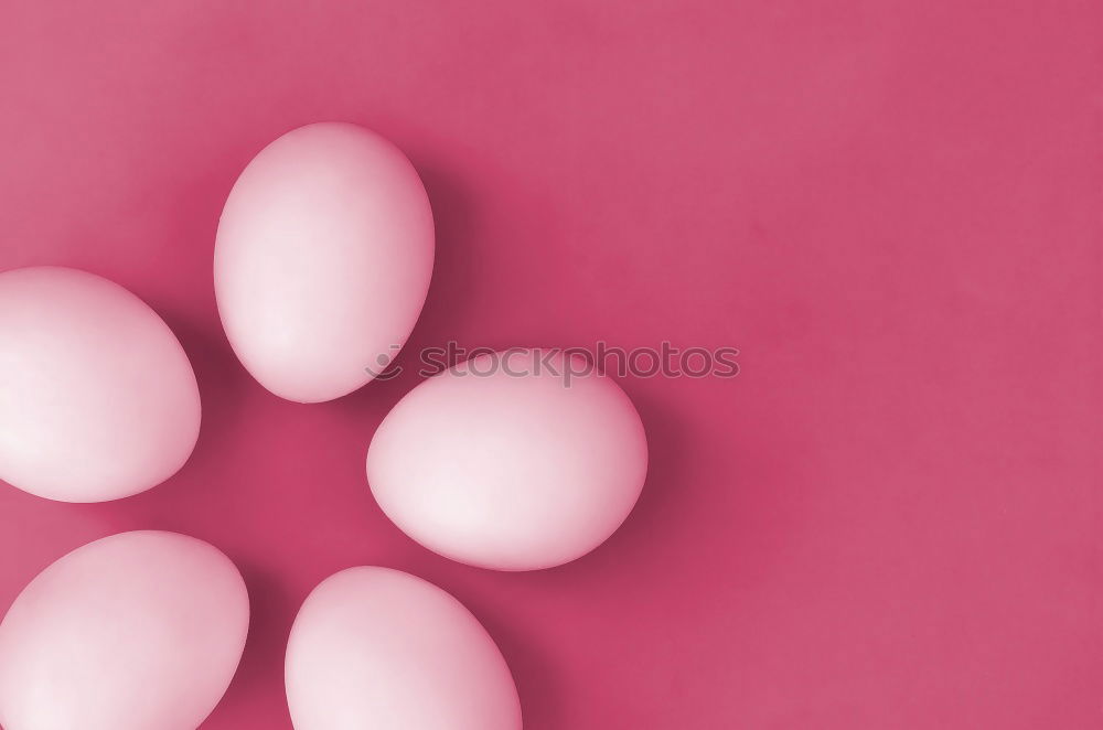 Similar – Image, Stock Photo #A# Easter flower Art