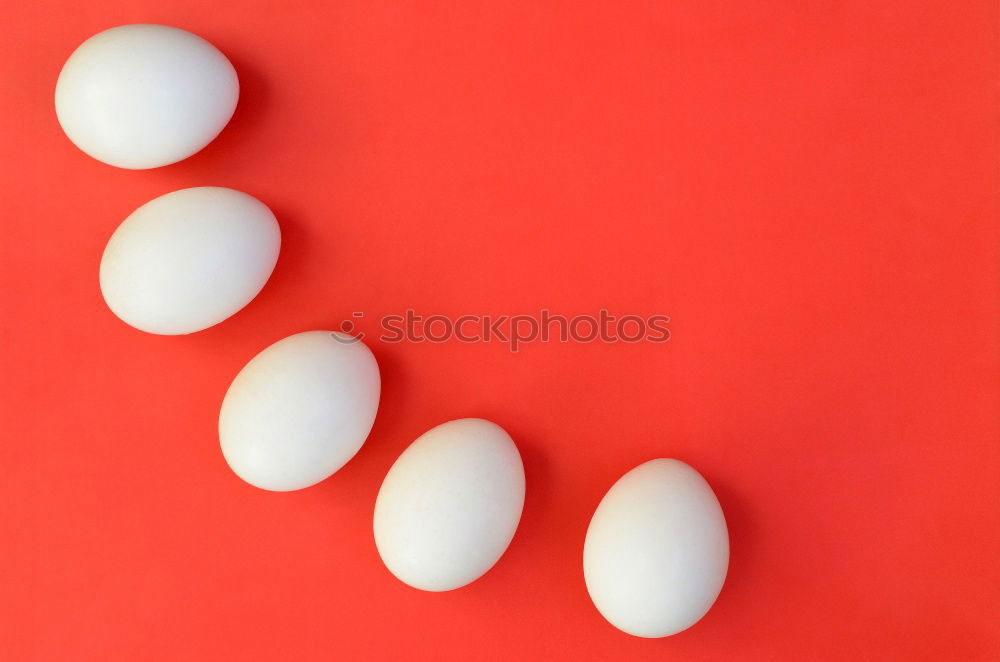 Similar – Image, Stock Photo Easter egg! Food Egg