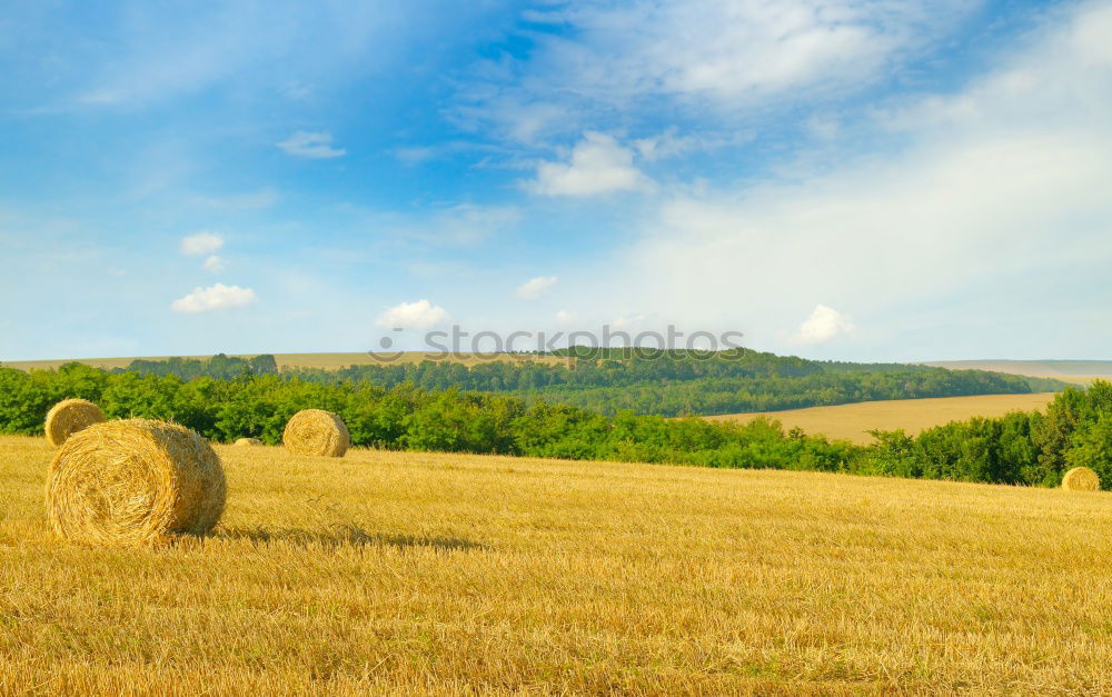 Similar – Image, Stock Photo auf´m Country