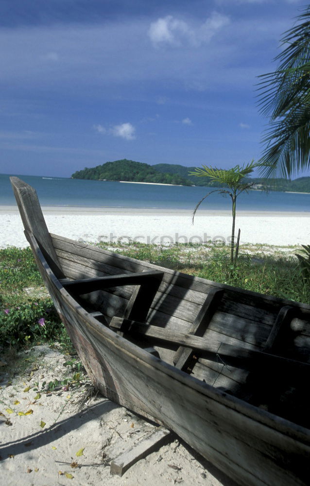 Similar – view from an hammock near ocean  beach