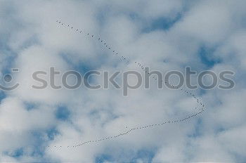 Image, Stock Photo tracks Winter Snow Ice