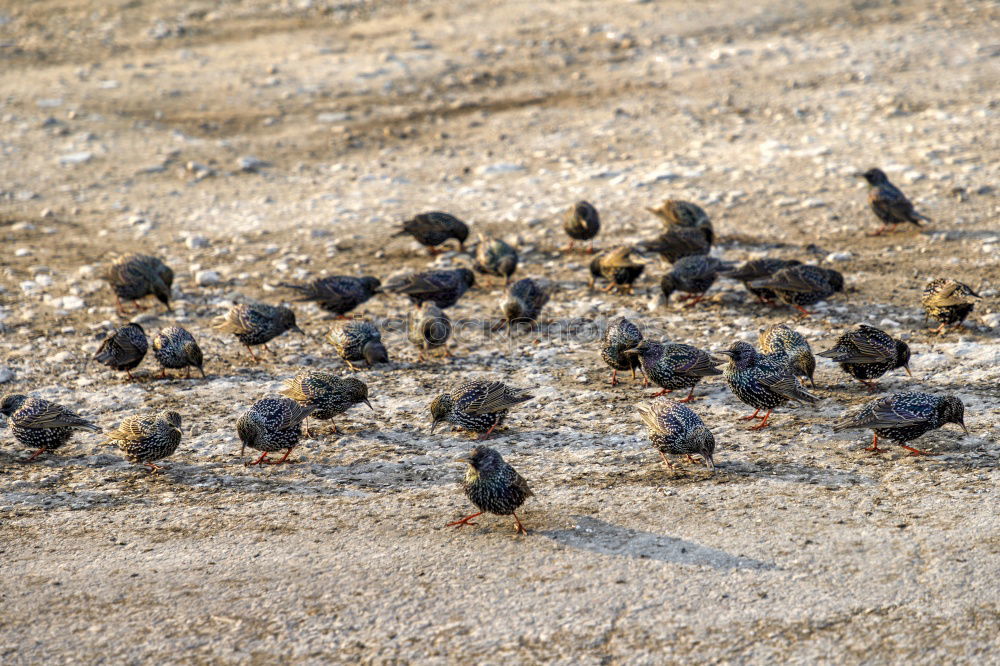 Similar – vogelperspektive.