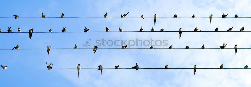 Similar – Image, Stock Photo captured. Sky