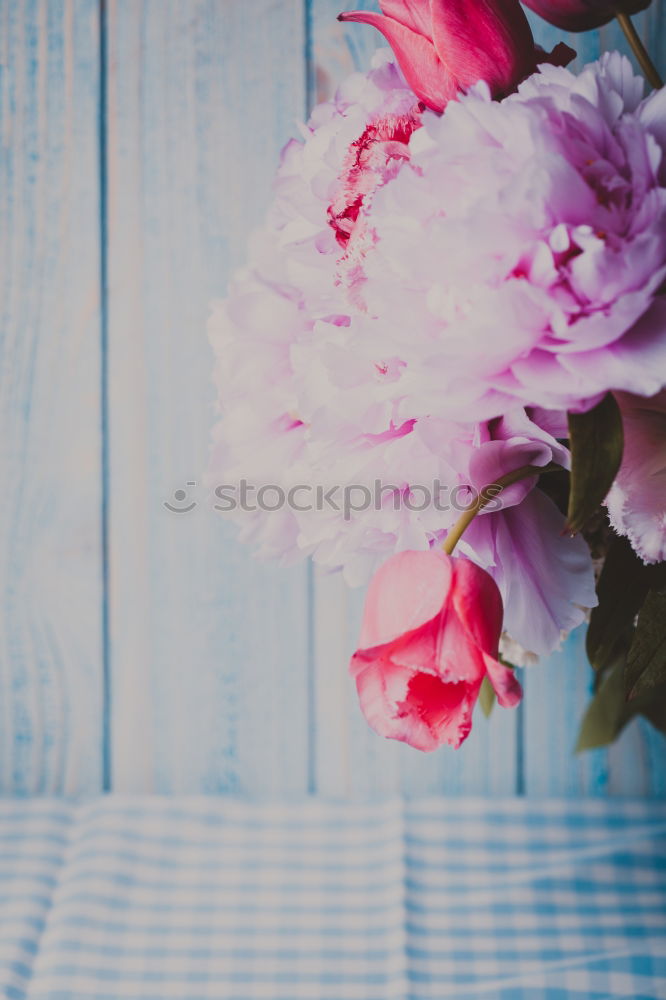 Similar – Image, Stock Photo Decorative bunch of plants in a ceramic teapot