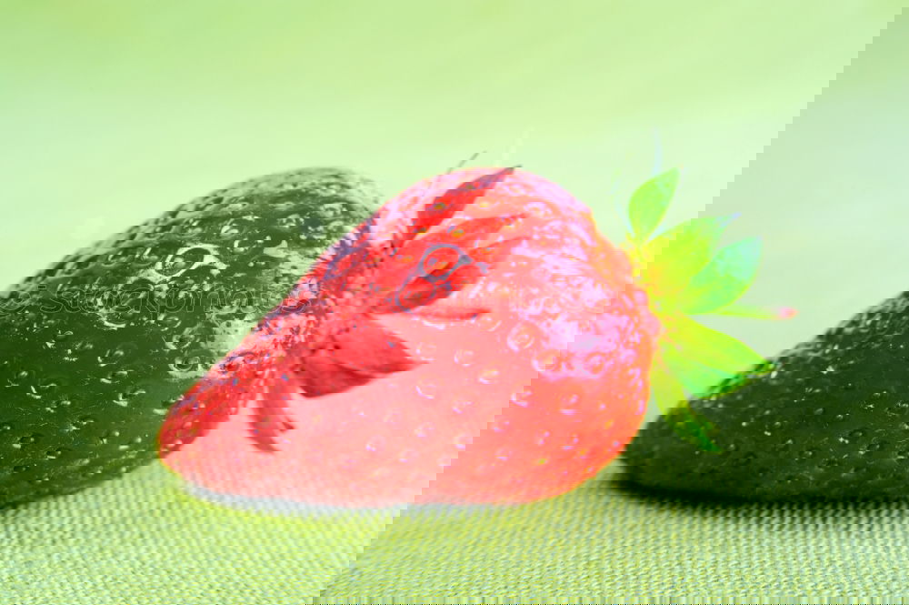 Similar – Image, Stock Photo Strawberry Rain Lifestyle