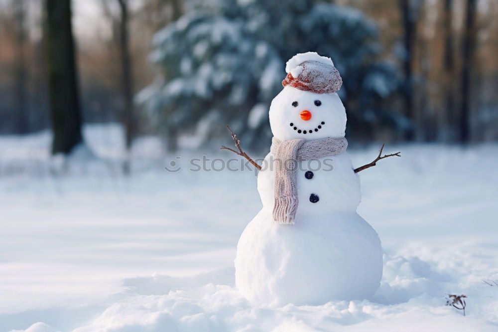 Similar – Image, Stock Photo snowman II Nature Winter