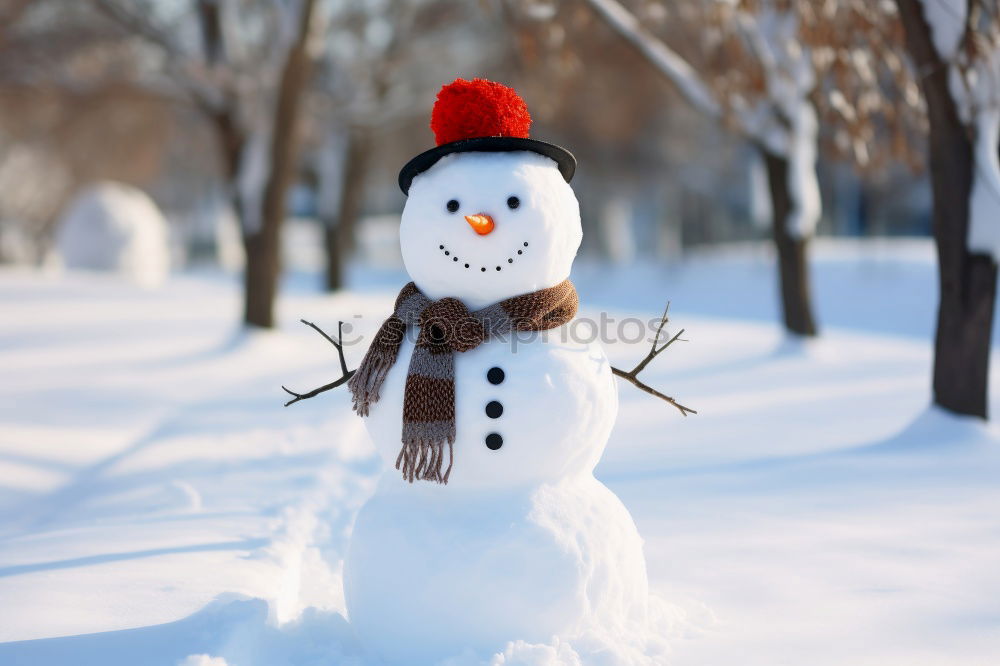 Similar – Image, Stock Photo snowman II Nature Winter