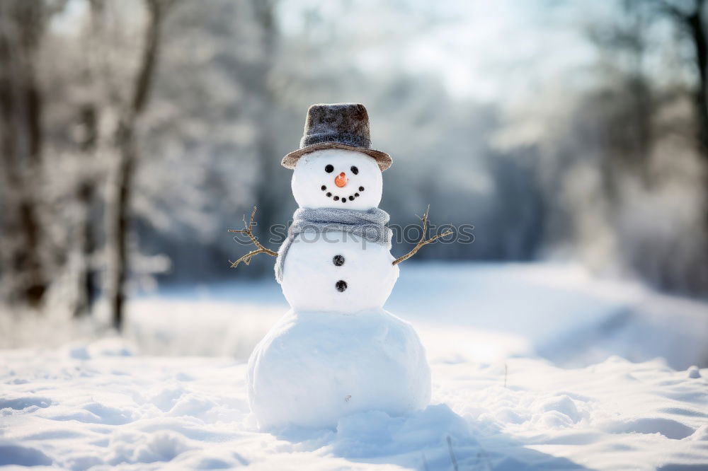 Similar – Image, Stock Photo snowman II Nature Winter