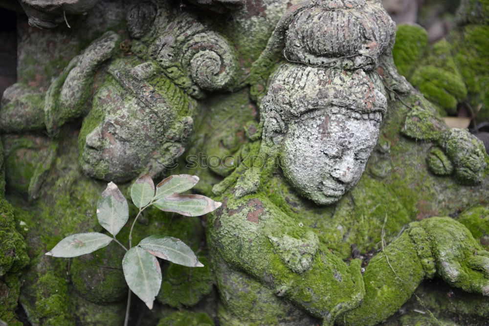 Grave in the old cemetery Offenbach