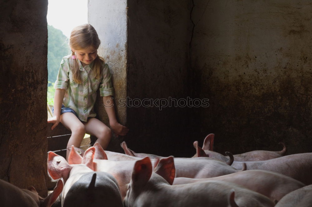 Similar – Puppen ausfahren gehen