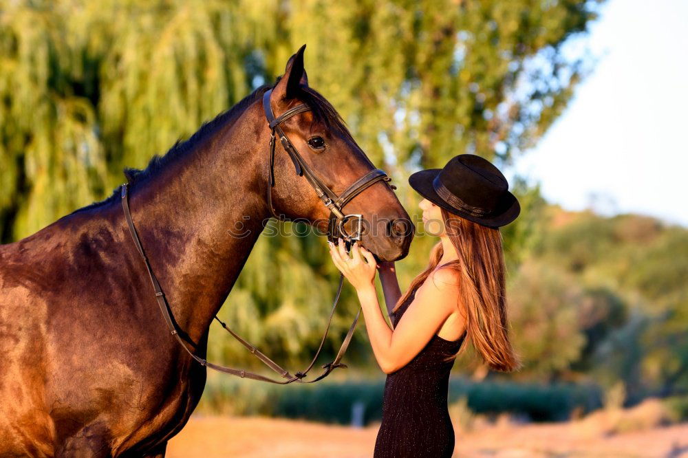 Similar – Image, Stock Photo Beautiful young rider woman with horse in nature. Love and friendship between man and animal. Portrait in landscape near horse stable of riding farm with riding school or farm with pet for hobby riding.