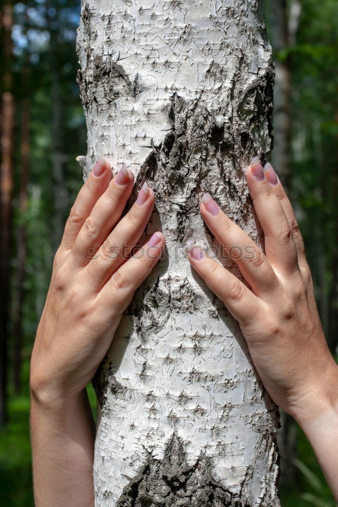 Similar – weibliche Hände in der Natur mit rotem Nagellack