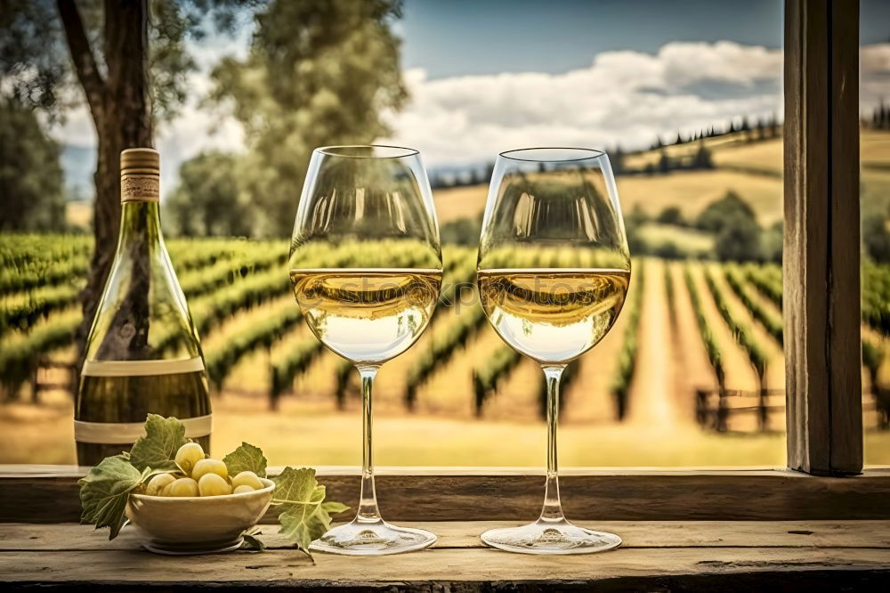 Similar – Image, Stock Photo White wine in a garden with wine glasses
